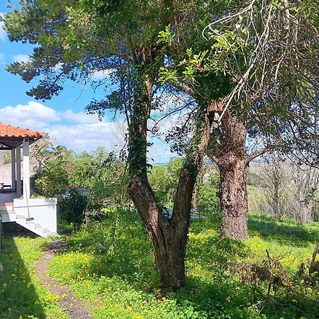 Quintinha A 35Min De Lisboa Villa Mafra Luaran gambar